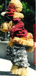 Dancer